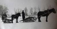 Болохово - Сельское училище в г. Болохово. 1953 год. Практические занятия будущих хлеборобов -  вывоз навоза на поле.