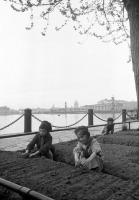Санкт-Петербург - Дети у грядок на набережной в Ленинграде.