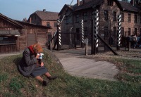 Польша - Жінка плаче поруч із воротами музею Освенцим. Bruno Barbey.