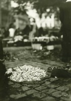 Львов - Львів.  На ринку.  Фото Луїзи Арнер Бойд. 1934 р.