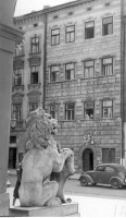 Львов - Львів.  Скульптура льва біля будівлі.