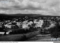 Трускавец - Трускавець. Панорама  міста в 1942 році.