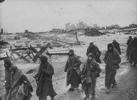 Волгоград - Итальянские и немецкие пленные выходят из Сталинграда после капитуляции.
