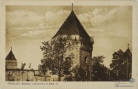 Скалат - Замок в Скалаті.