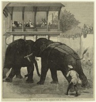 Индия - Принц Уэльский в Вадодаре, 1876