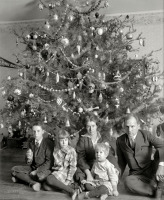 Соединённые Штаты Америки - Семья у рождественской елки
