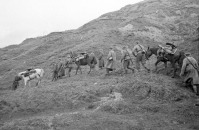 Румыния - Минометчики части Н.И. Коваленко перевозят на лошадях минометы, продвигаясь в предгорьях Карпат