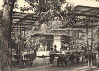 Саратов - Летнее кафе в парке Липки