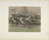 Япония - Езда на велорикшах в парке