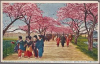 Токио - Пять разновидностей сакуры в Аракава, 1915-1930