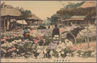 Токио - Сад ирисов в парке Хорикири в Токио, 1907-1918