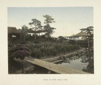 Токио - Сад ирисов в Токио, 1910-1919