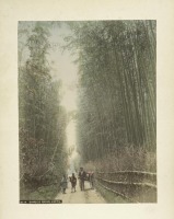 Киото - Бамбуковая роща в Киото, 1890-1899