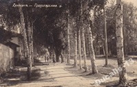 Алма-Ата - Алма-Ата. Улица Пролетарская, 1929-1930