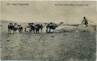 Кызылординская область - На песках Кызыл-Кума в Перовском уезде