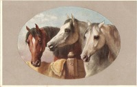 Ретро открытки - Лошади.