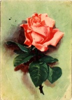 Ретро открытки - Роза