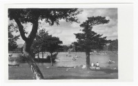 Ретро открытки - Открытка. Южно-Сахалинск. Горпарк. Верхнее озеро. 1957 г.