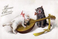 Ретро открытки - Коти - музиканти.