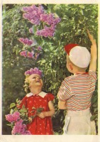 Ретро открытки - Сирень цветёт