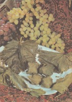 Ретро открытки - Солёные виноградные листья.