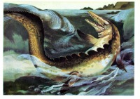 Ретро открытки - Мозазавр.