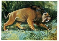 Ретро открытки - Саблезубый тигр.