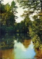 Ретро открытки - Лесная речка