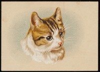 Ретро открытки - Рыжая кошка с белыми пятнами