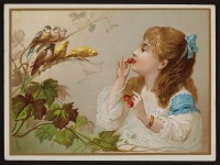 Ретро открытки - Красавицы. Девочка с ягодами и птицы