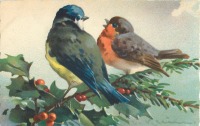 Ретро открытки - Лазоревка и малиновка  на ветке падуба