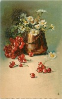 Ретро открытки - Катарина Кляйн. Белые ромашки в коричневом кувшине и красная смородина