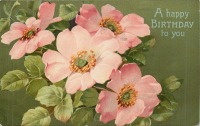 Ретро открытки - День Рождения. Розовый шиповник на зелёном фоне