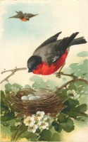 Ретро открытки - Снегири у гнезда на ветке цветущего боярышника