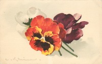 Ретро открытки - Акварель Оранжевые и фиолетовые анютины глазки