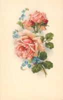 Ретро открытки - Бело-розовые розы с бутонами и незабудки