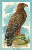 Ретро открытки - Золотой орёл