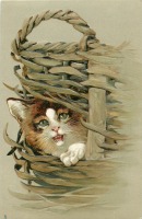 Ретро открытки - Котёнок играет в плетёной корзине