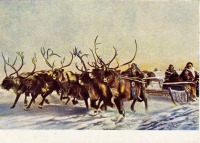 Ретро открытки - Традиционные гонки оленьих упряжек