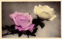 Ретро открытки - Две розы