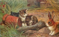 Ретро открытки - Три котёнка и кролик
