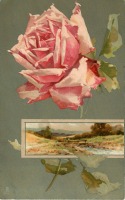 Ретро открытки - Розовая роза и деревянный мостик через горный ручей