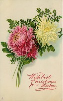 Ретро открытки - Букет розовых и жёлтых хризантем