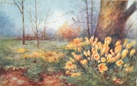 Ретро открытки - А. Прессланд. Нарциссы и крокусы на лесной поляне