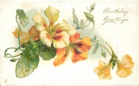 Ретро открытки - Оранжевая настурция в День Рождения
