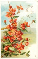 Ретро открытки - Цветущая ветка японской айвы с лучшими пожеланиями