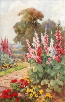 Ретро открытки - Розовая и красная мальва в английском саду