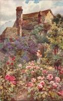 Ретро открытки - Женщина с ребёнком в розовом саду