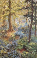 Ретро открытки - Весенний лес с голубыми колокольчиками