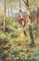 Ретро открытки - Жёлтые первоцветы в берёзовом лесу